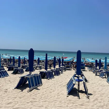 Chiara Torre Lapillo