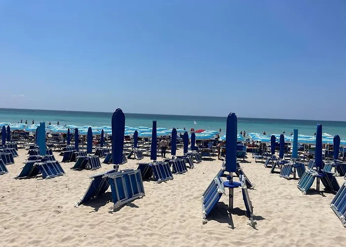 Chiara 托雷拉皮罗